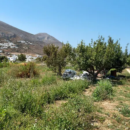 Livadi House Amorgos Дом отдыха Эгиалис