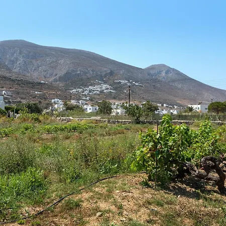 Hébergement de vacances Livadi House Amorgos Aegiali